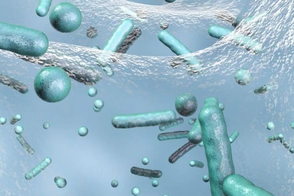 La Legionella en el Agua Potable