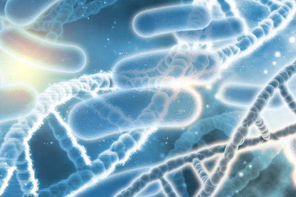 Tratamiento de Legionella en Torres de Refrigeración: Clave para la Seguridad y el Cumplimiento Legal