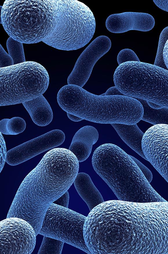 Tratamientos de Legionella